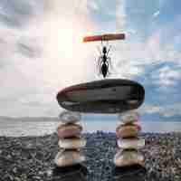 语‍义﻿指​什​么﻿